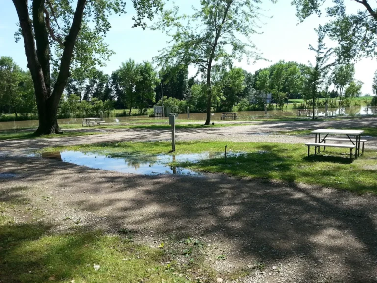 Photo11